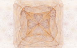 2015 3 07 Dark Days 043-white.jpg